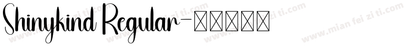 Shinykind Regular字体转换
